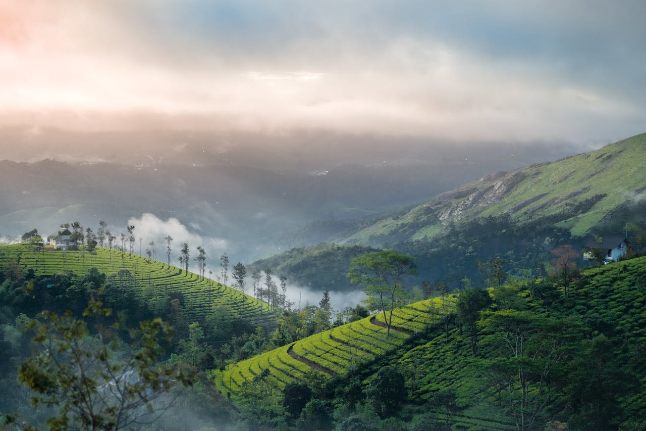 Best Places To Visit Munnar