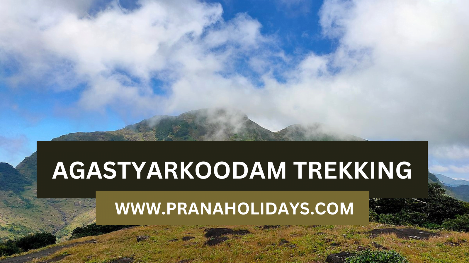 Agasthyarkoodam Trekking Booking