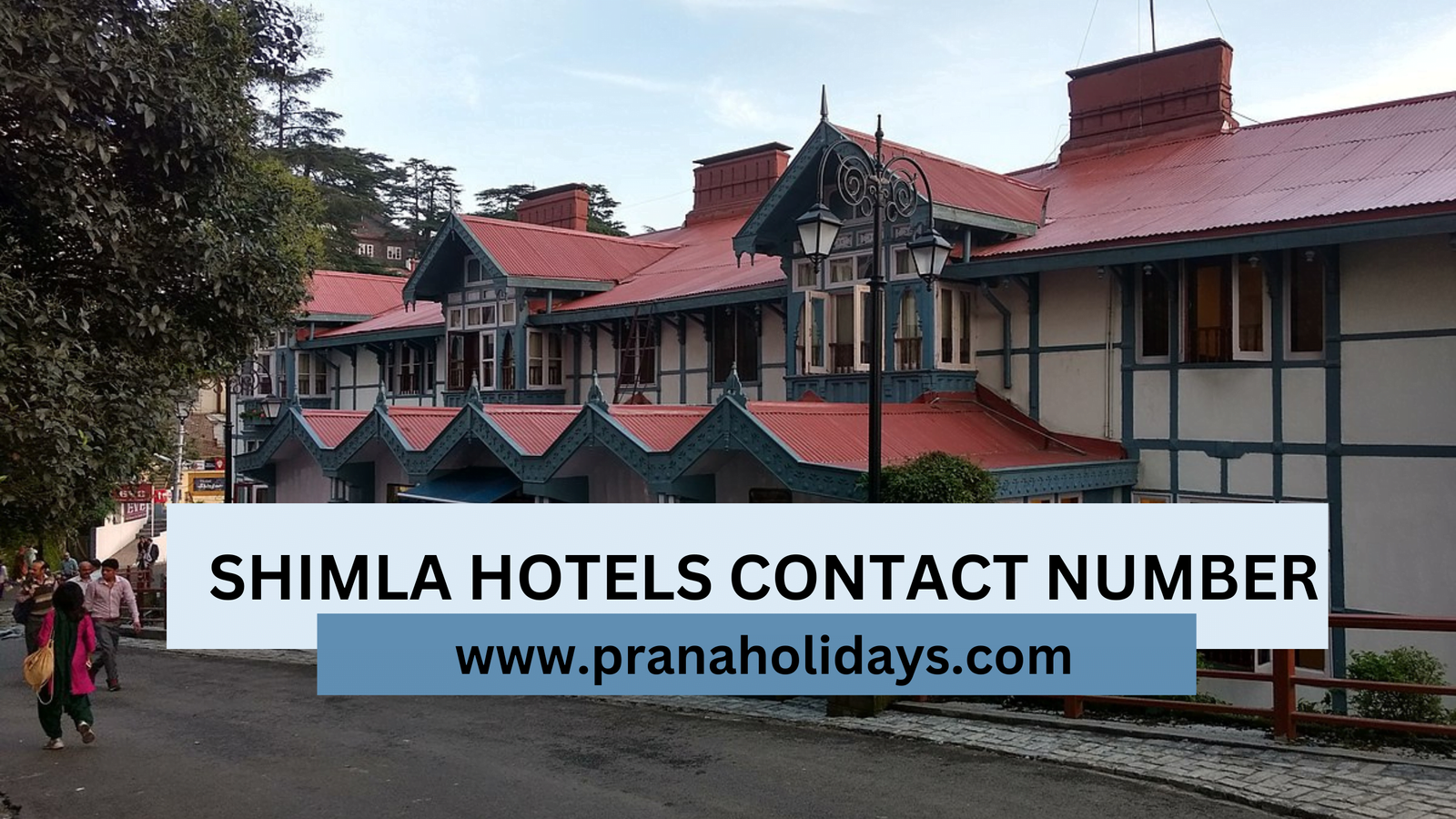 Shimla hotel contact number