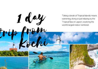 1 day trip from Kochi