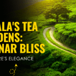 Top 3 Star Resorts in Munnar